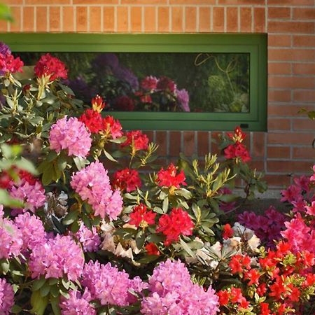 Villa Delle Ortensie Tavagnacco Экстерьер фото
